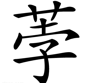 荸